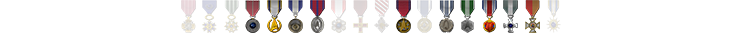 Stevie Medals